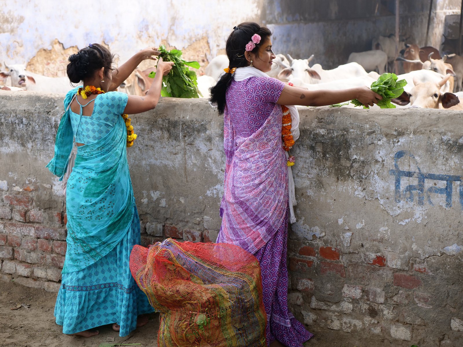  220 Gopashtami Radha kunda Govardhan 19.11.04
